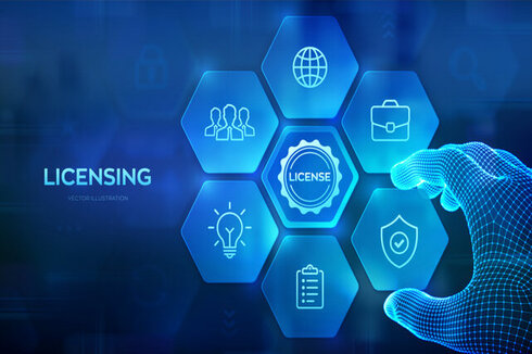 Software Licensing